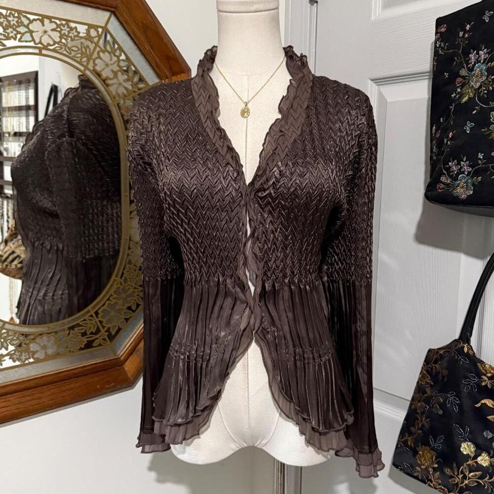 Y2k Caelian Shiny Dark Brown Satin Long Flfare Sleeve Crinkle Ruffle Edge Top